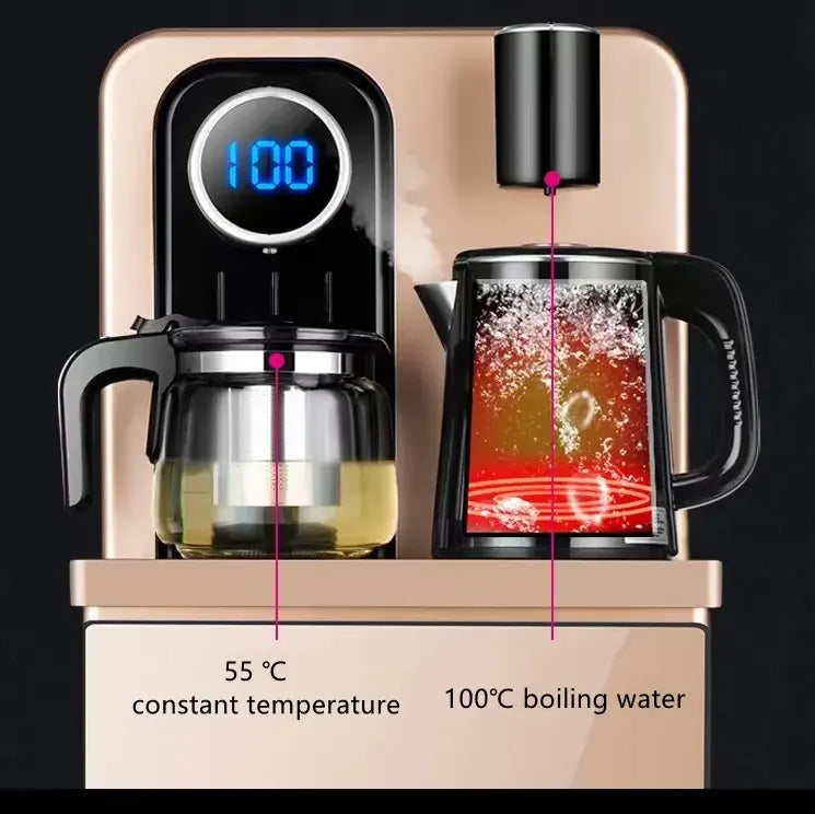 Multi-functional Freestanding compressor electric cooling hot and cold and warm water dispenser
