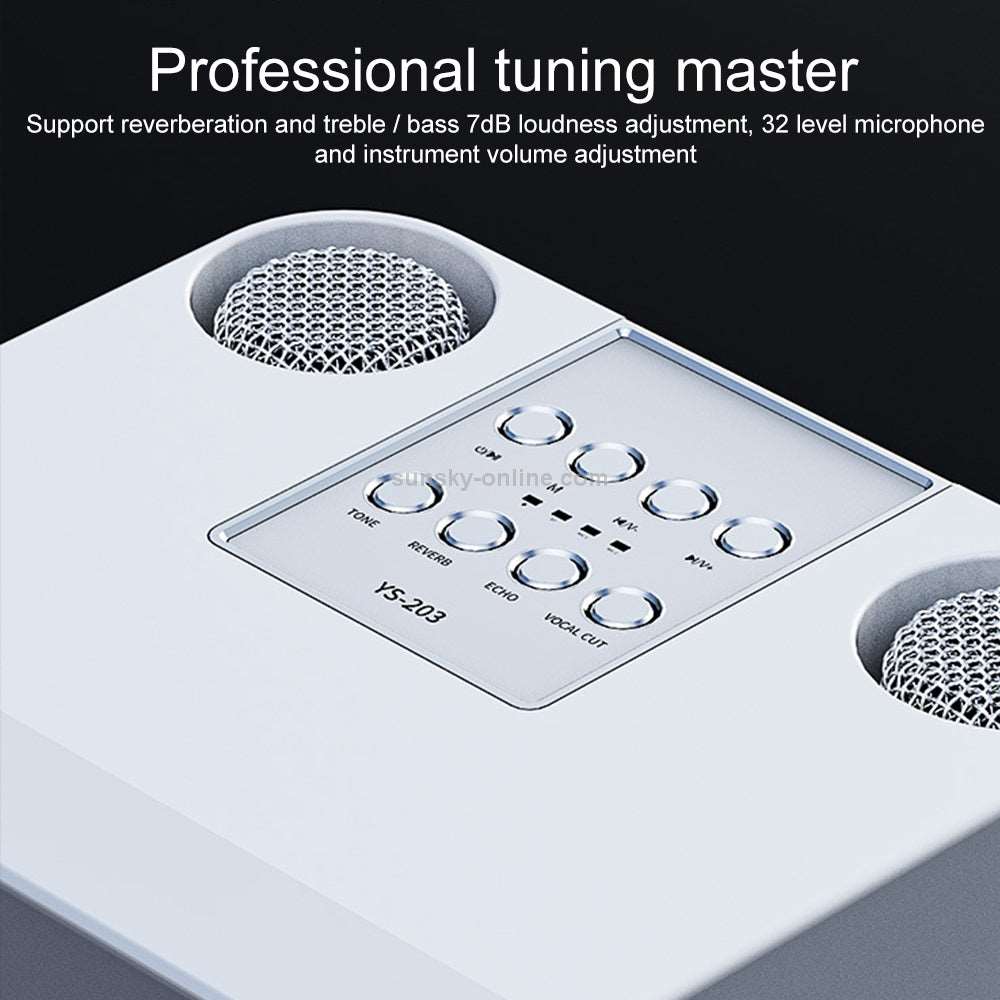 YS-203 Professional Portable 100W Dual Microphone Bluetooth Smart Speaker External Karaoke Equipment