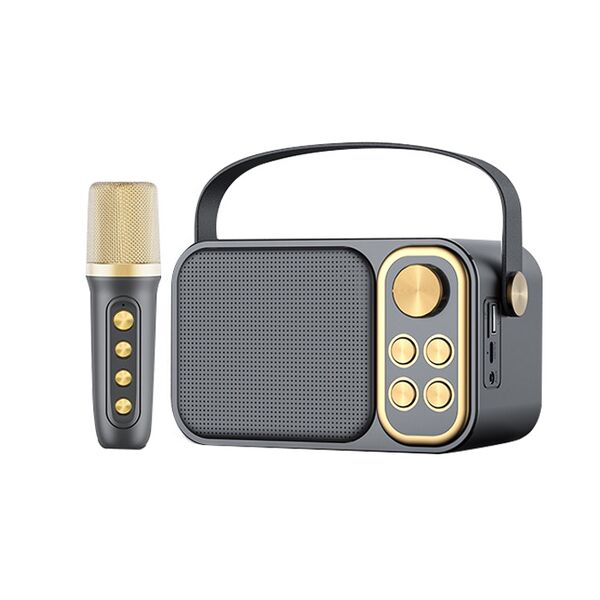 Wireless Karaoke speaker with microphone YS-103